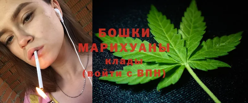 Бошки марихуана White Widow  купить  цена  Мыски 